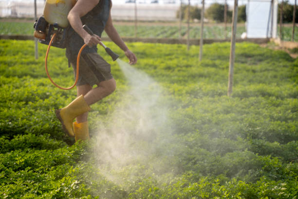 Best Exterminator Services  in Withamsville, OH