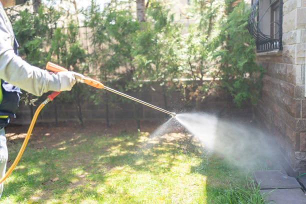 Best Pest Removal Services  in Withamsville, OH