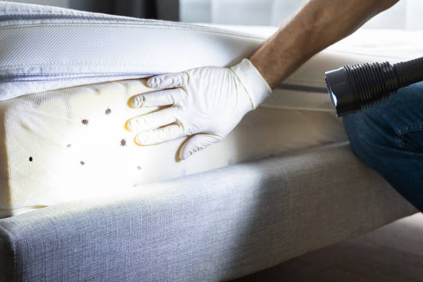 Pest Control Cost in Withamsville, OH