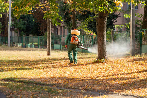 Best Mosquito Control Services  in Withamsville, OH